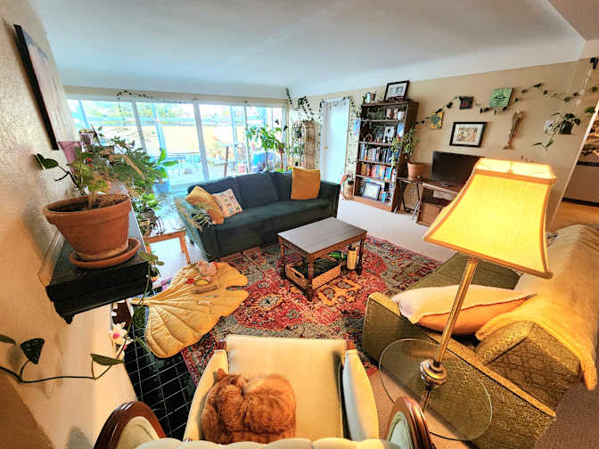 Photo of Scarlett's room