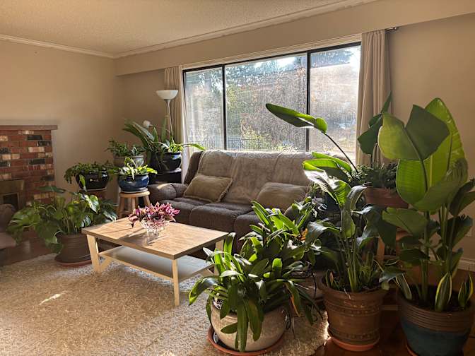 Photo of Ynez's room