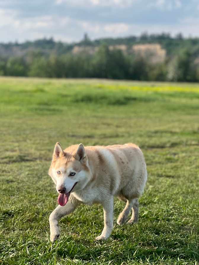 Photo of Billie's room
