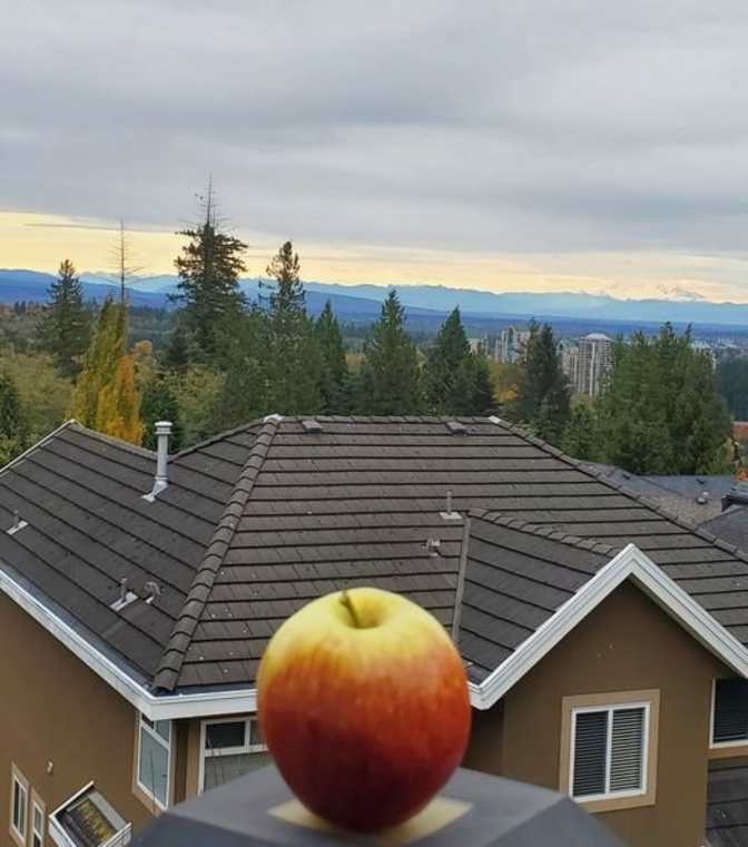 Photo of Lance's room