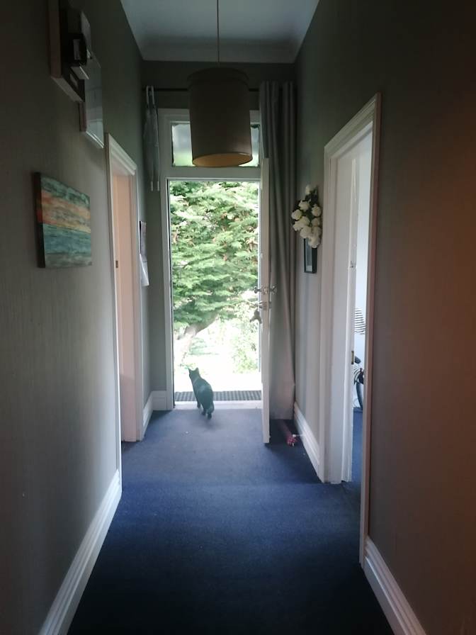 Photo of Idia Cullingford's room