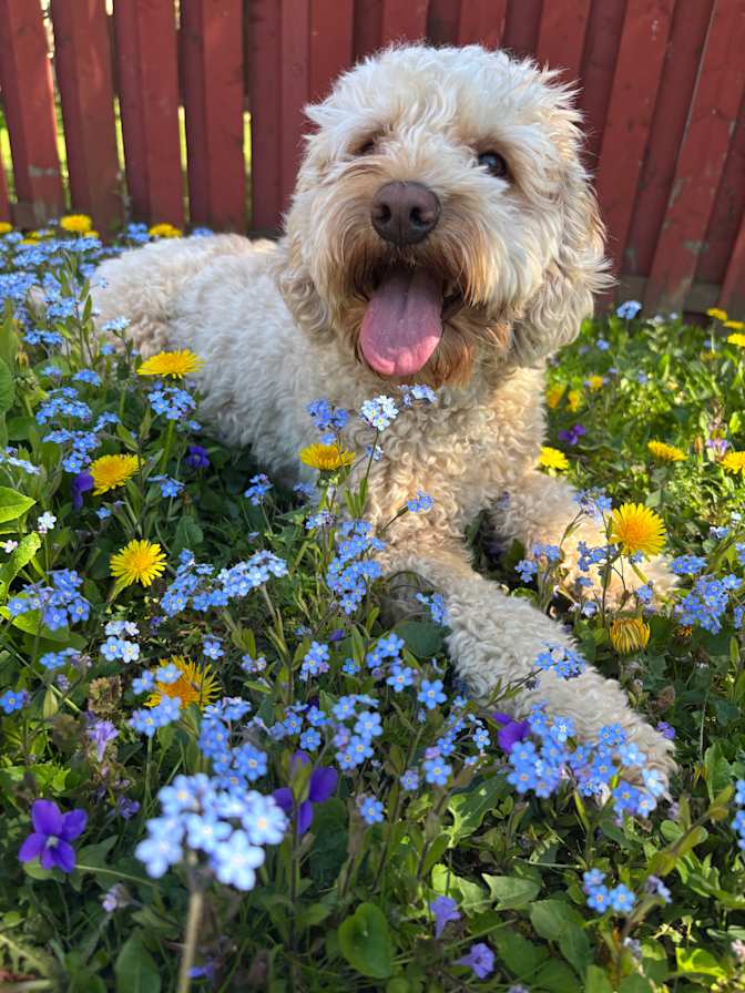 Photo of Andres's room