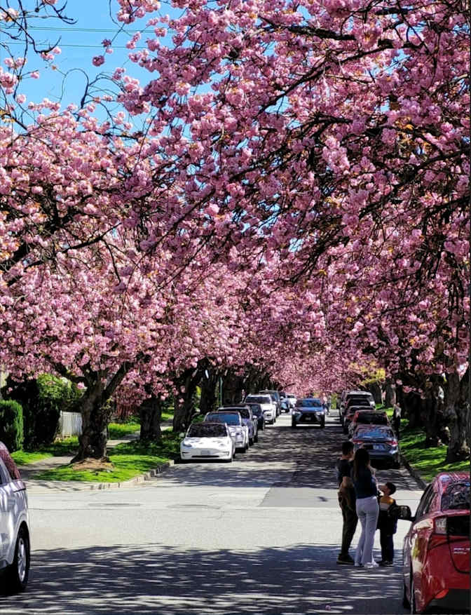 Photo of Danielle's room