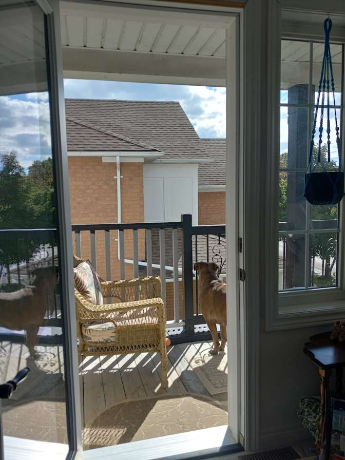 Stephannie Ann Jarrett's room