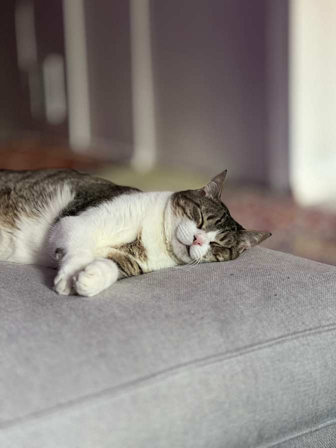 Photo of Shyloh's room