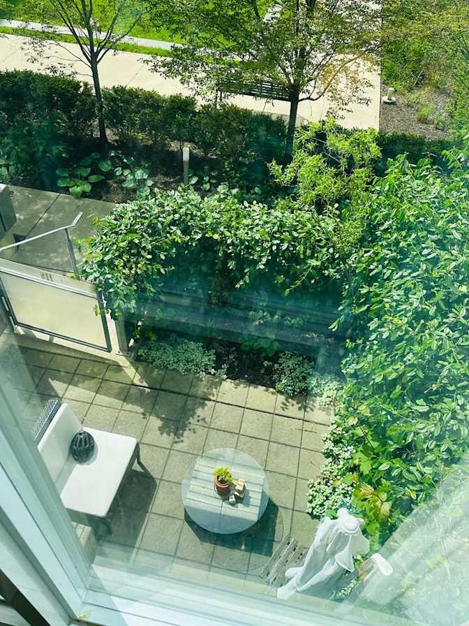 Suzan Ibrahim's room