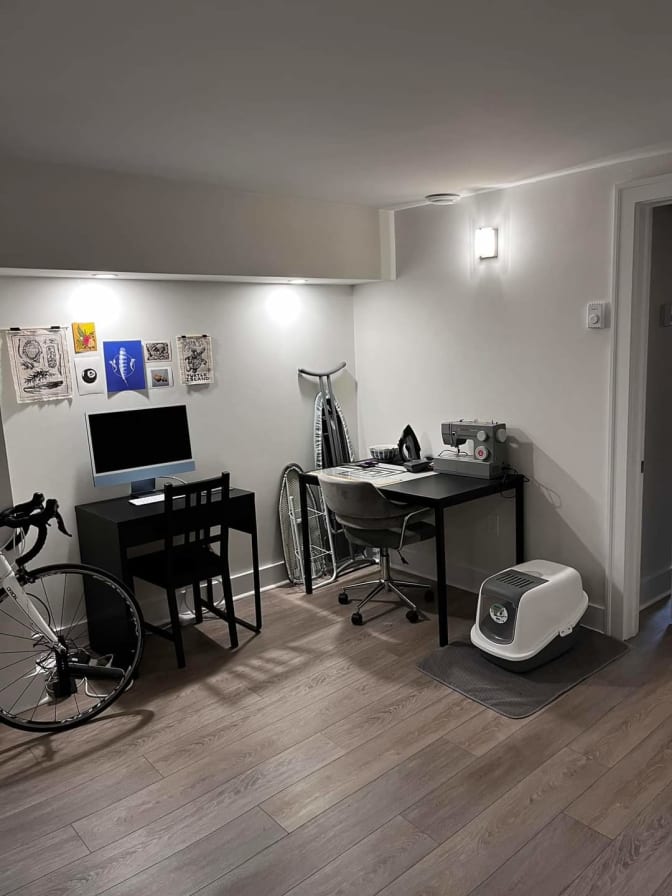 Chadya Bhatia's room