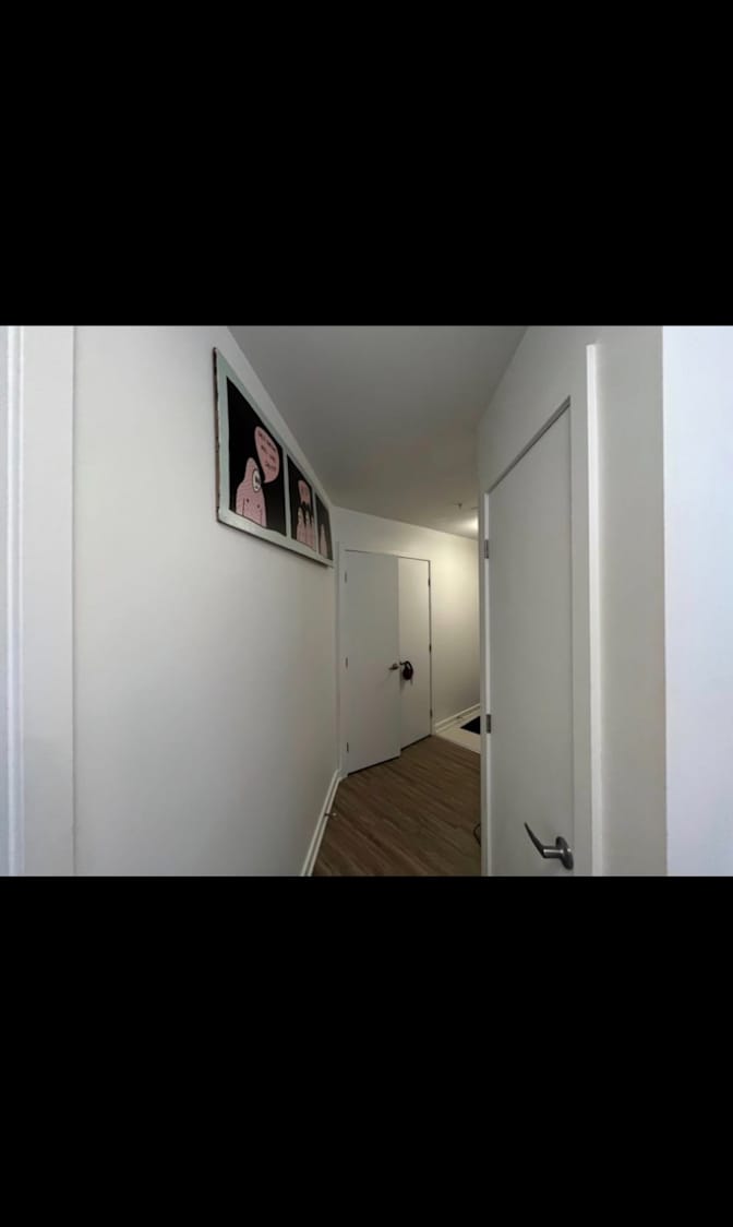 Photo of mehdi's room