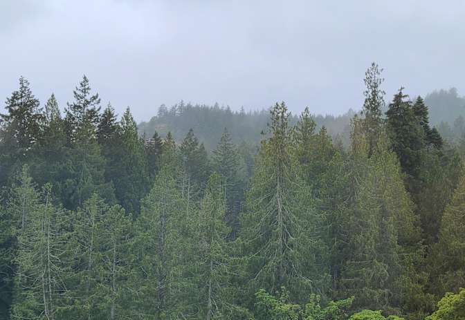 Photo of Vancouver Island View's room