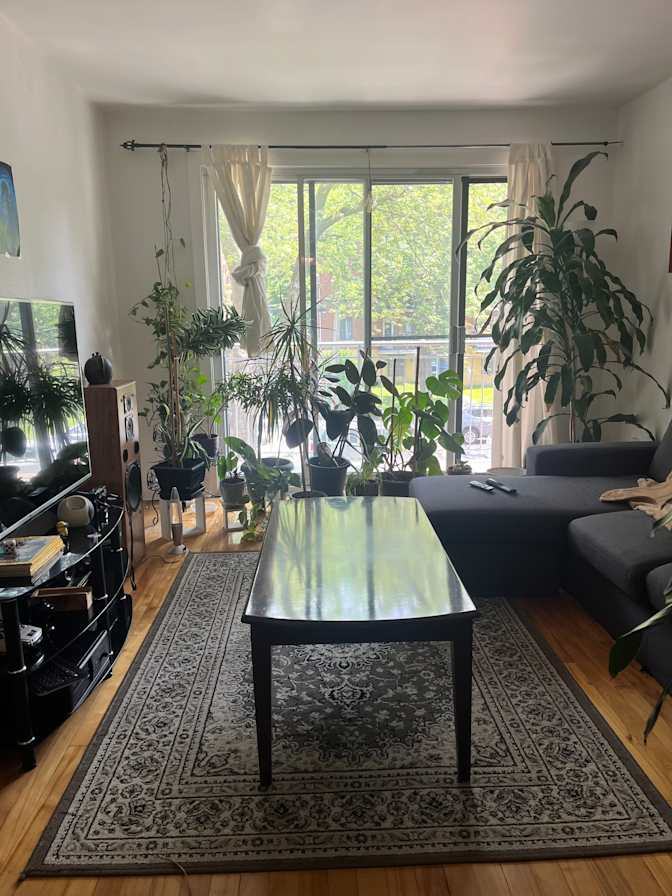 Photo of lawrence's room