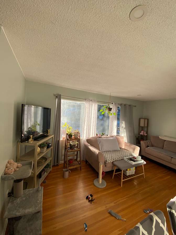 Lindsey Black's room