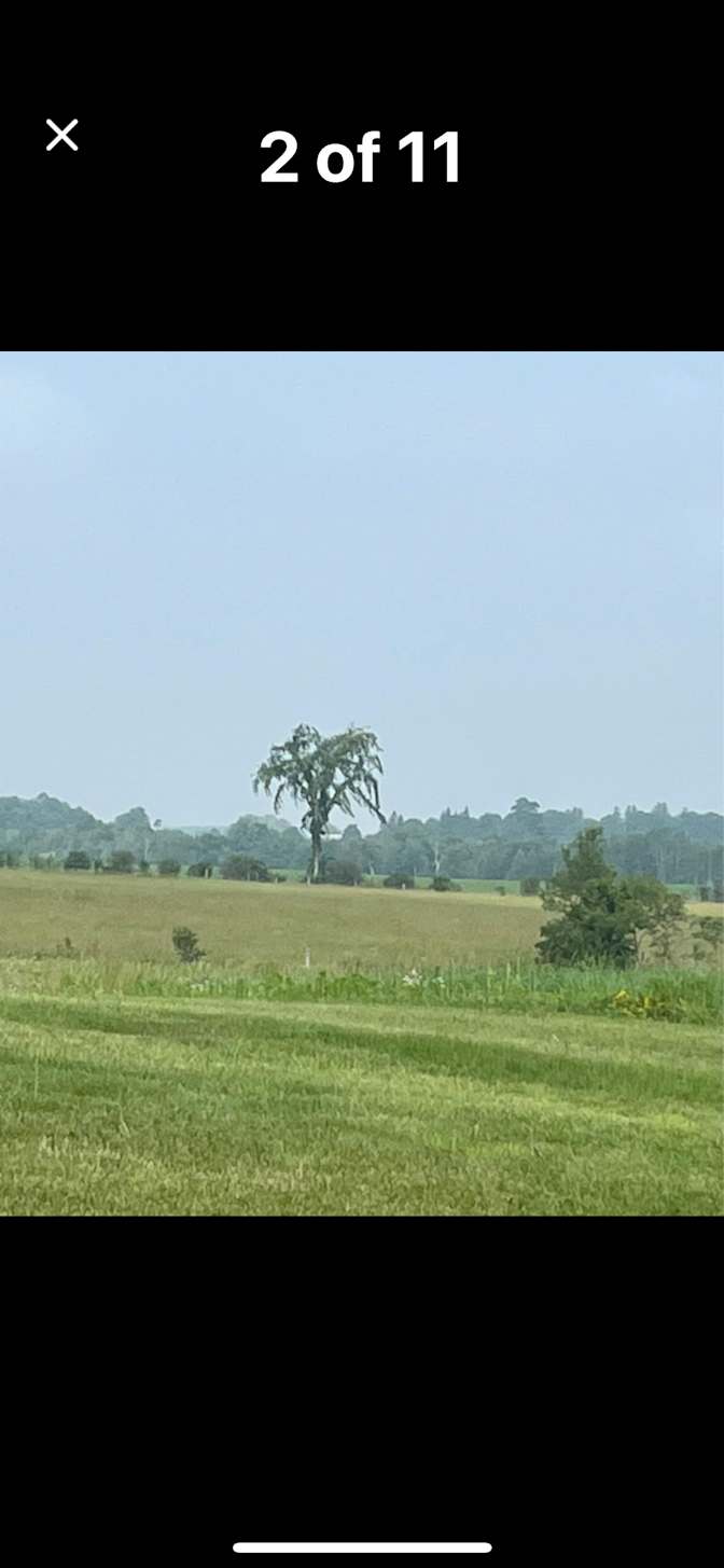 Aurora Jaspers Fayer's room
