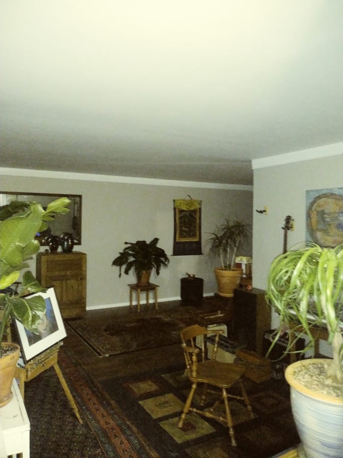 Photo of Lakewood Green Mountain Life's room