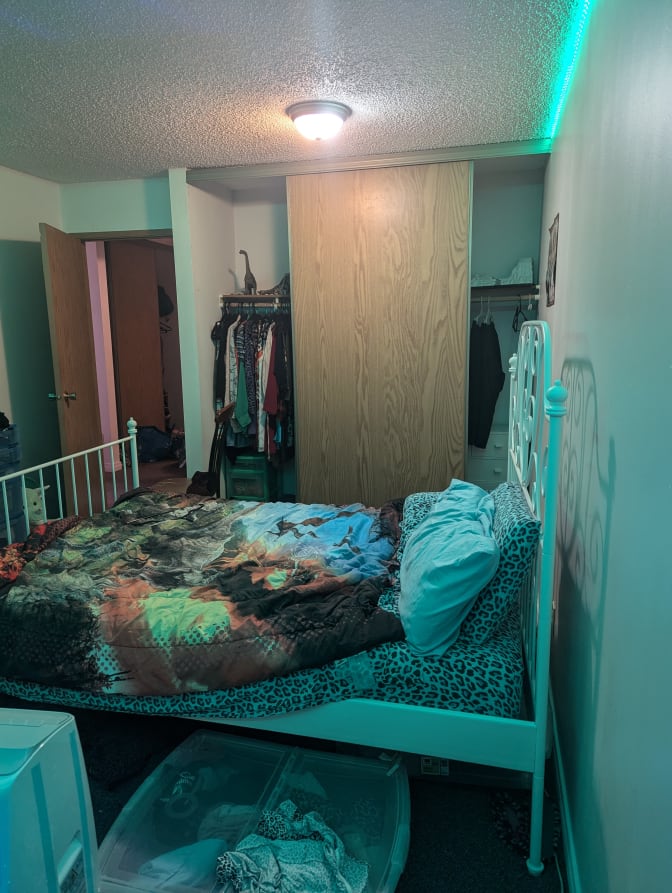 Photo of Sophie Moon's room
