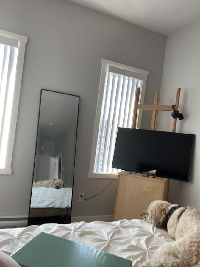 Photo of Tabitha L's room