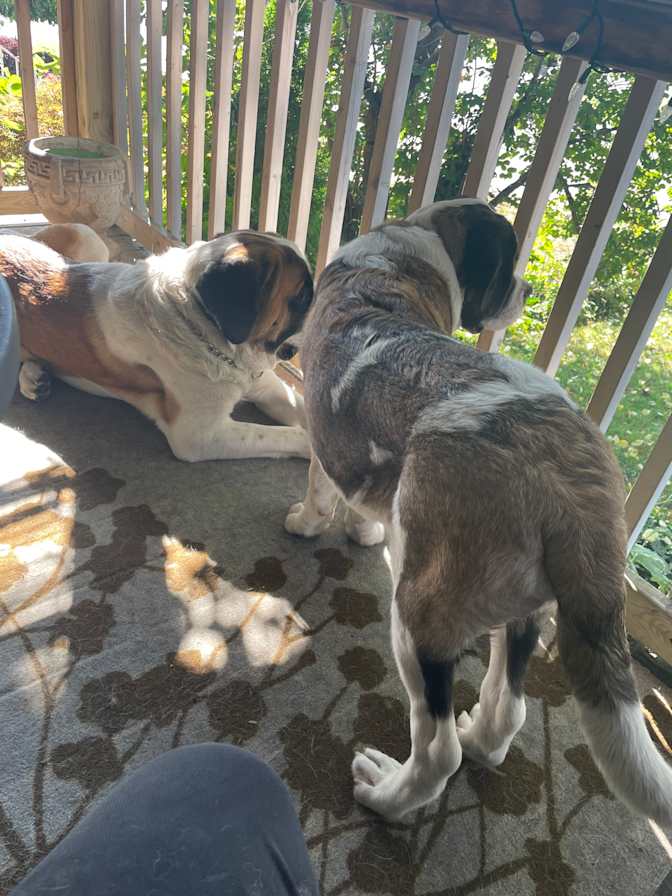 Photo of Adam's room