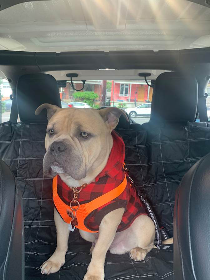 Photo of Cass's room