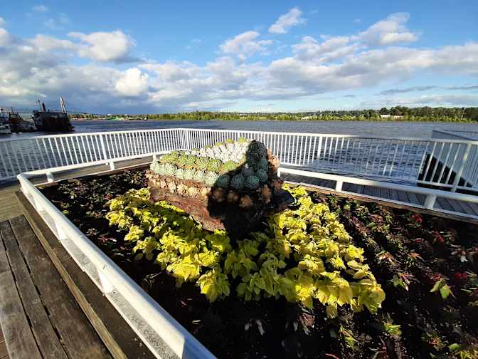 Photo of Marvin's room