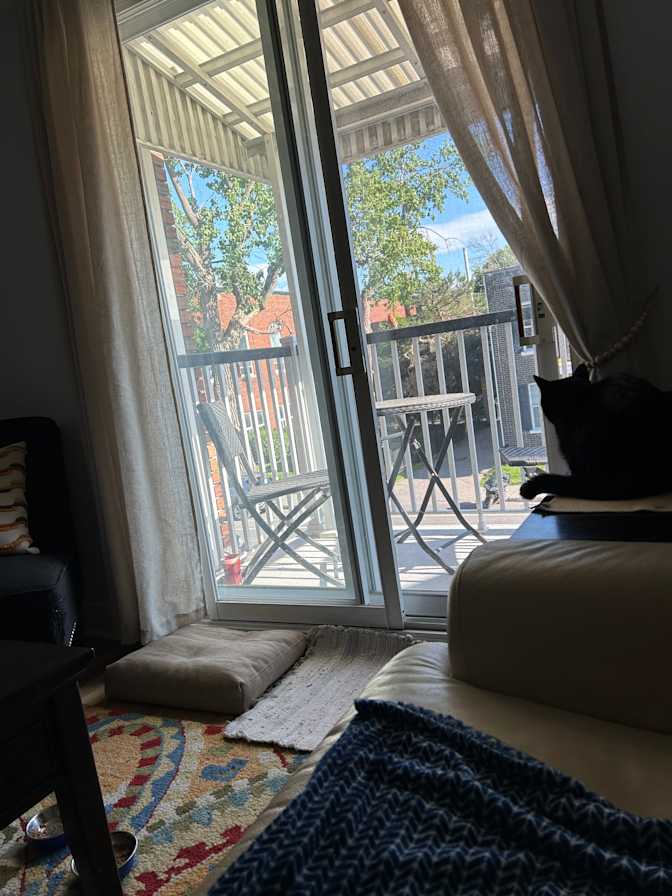 Elaine Fiddes's room