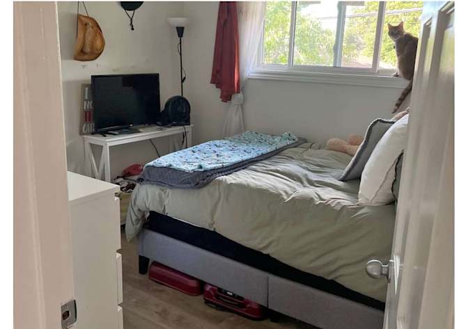 Photo of Jessica's room