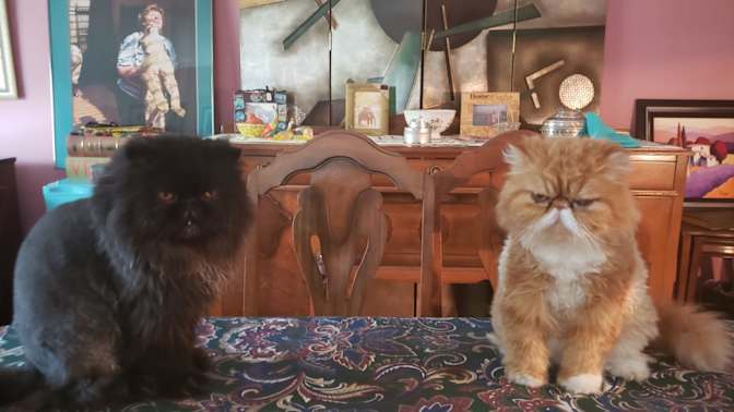 Jane Ann Summers's room