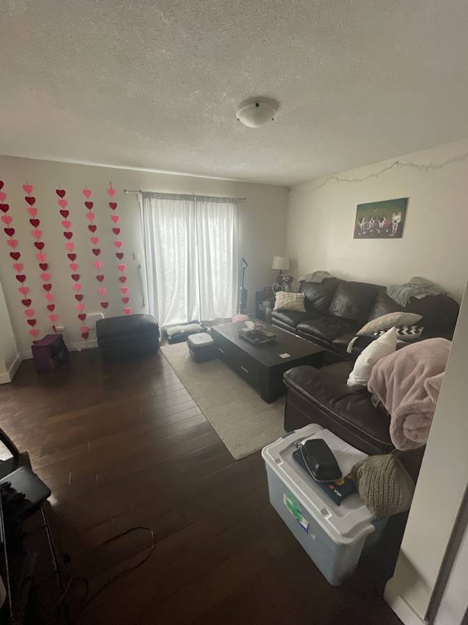 Photo of Erika's room
