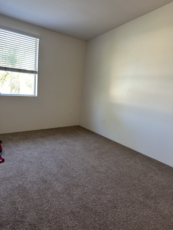 Photo of Samantha's room