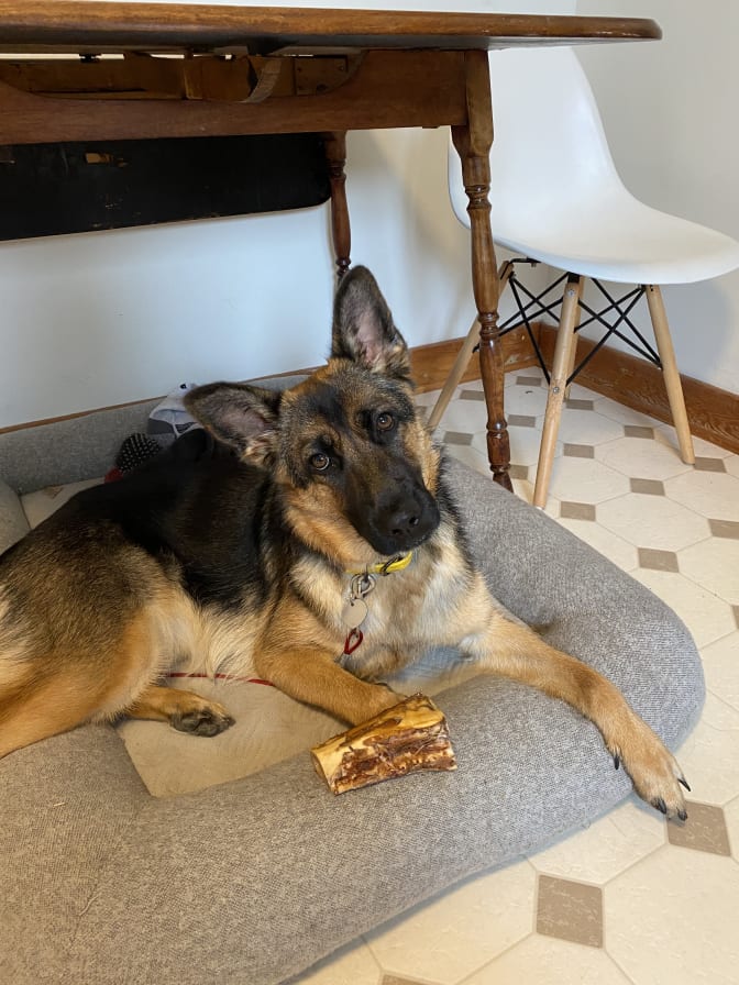 Stephen Mader's room