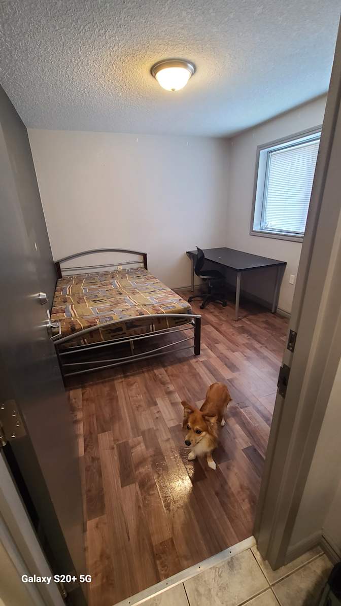 Photo of Aliki's room