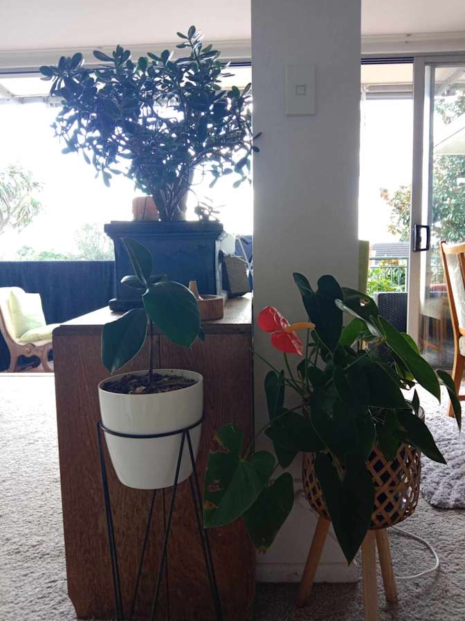 Photo of Roo's room