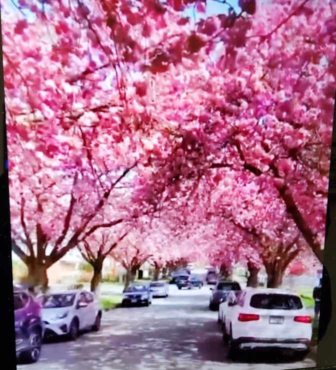 Photo of Danielle's room