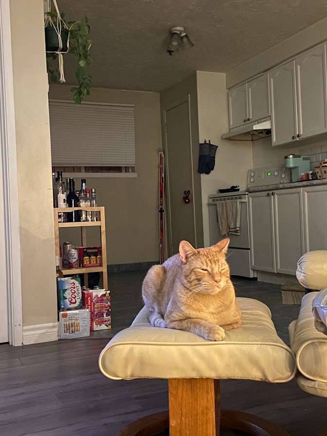 Photo of Sophie's room