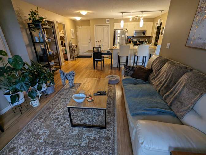 Photo of Tessa's room