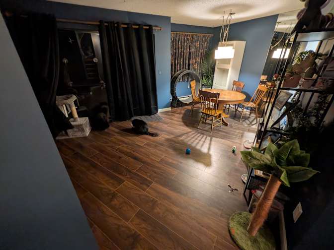 Adam and Dana's room