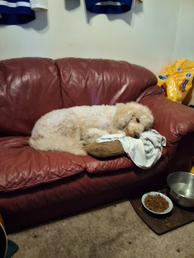 Photo of Giovanna Winter's room