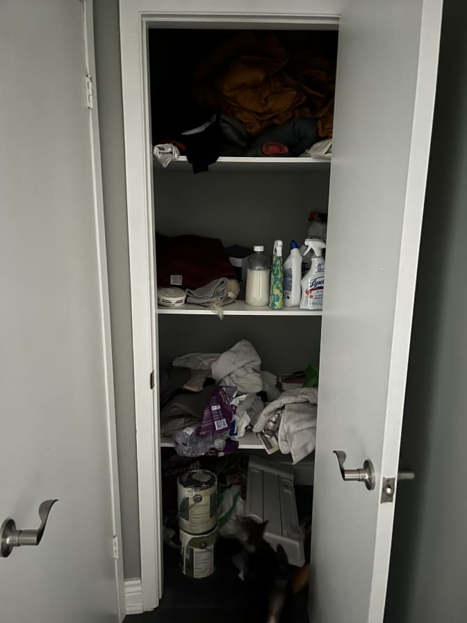 Photo of Layla's room