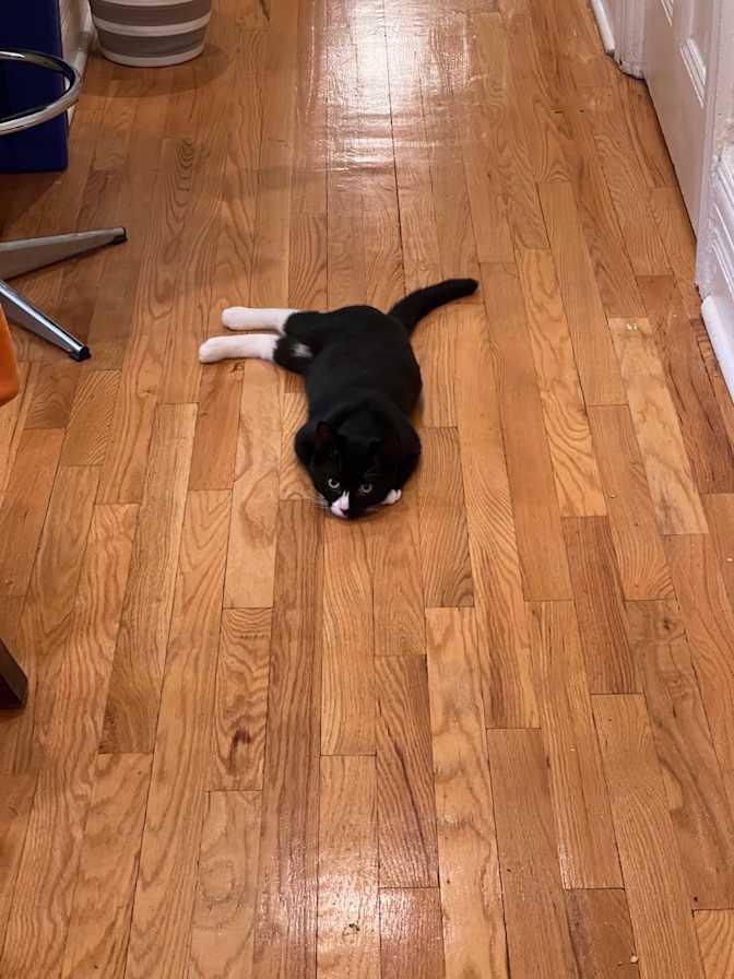 Kateryna Vents's room