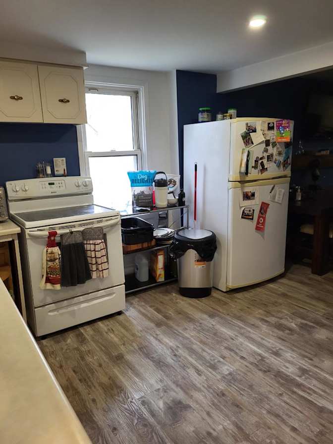 quinn hollohan's room