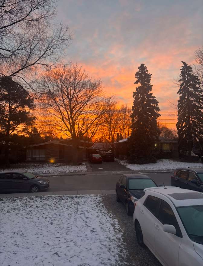 Photo of Michele's room