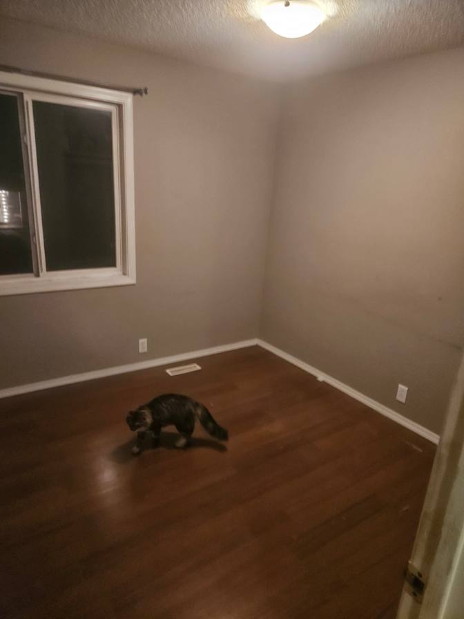 Photo of Gordon's room