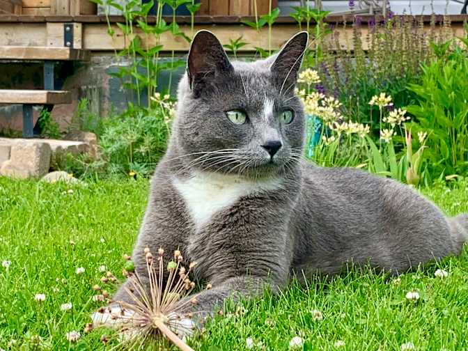 Michelle Stephen's room