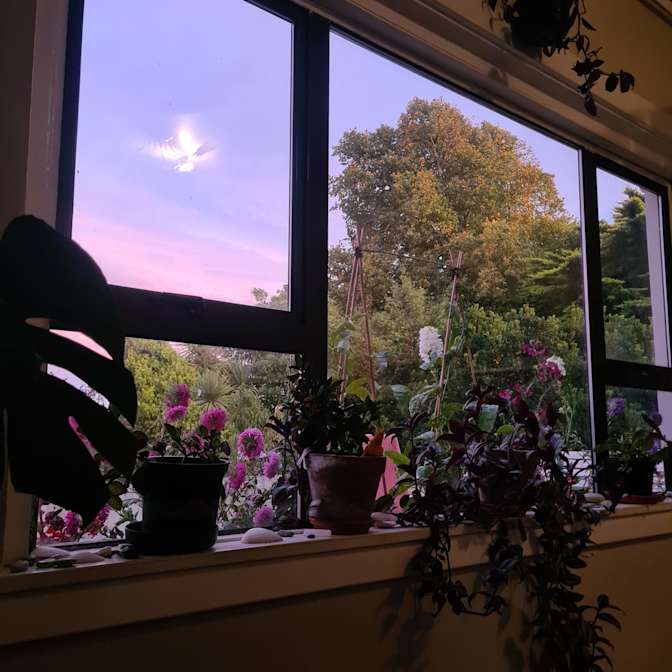 Photo of Alisha's room