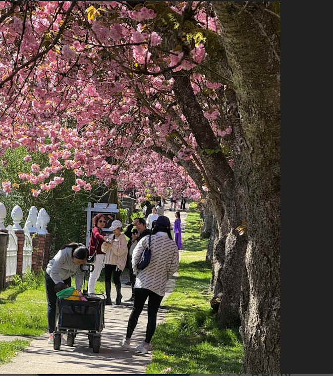 Photo of Danielle's room