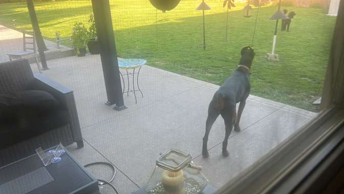 Photo of Marisela loncaric's room