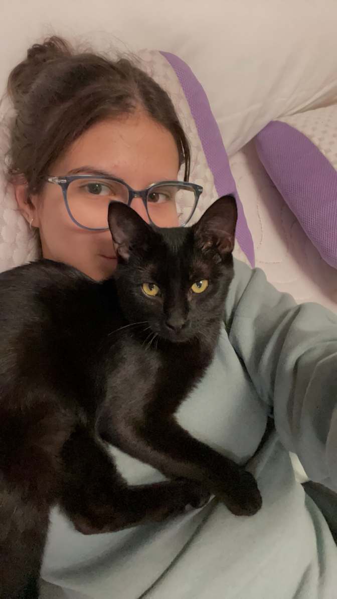 Daniela Jorge Pinheiro's room