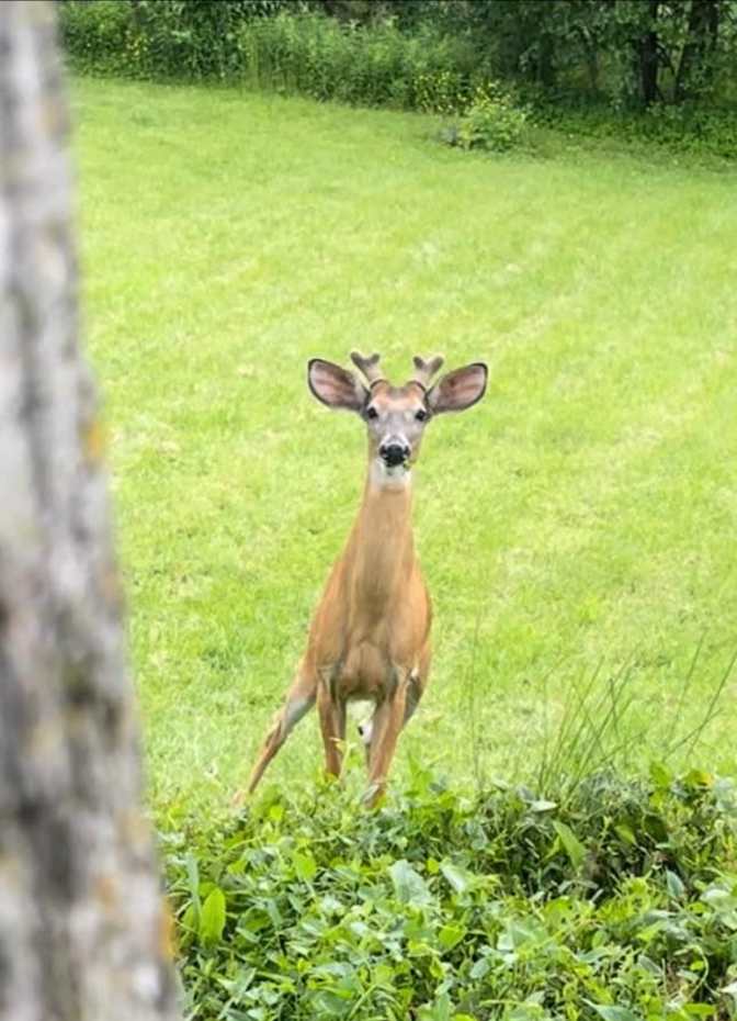 Anna Maria Waskiewicz's room