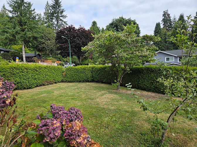 Photo of Roland's room