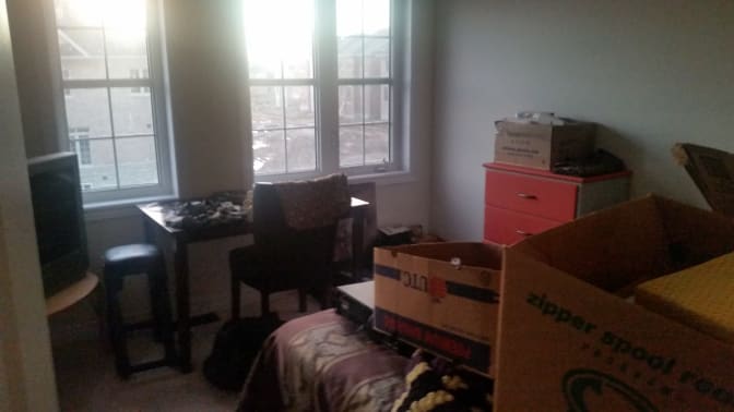 Photo of Tamara's room