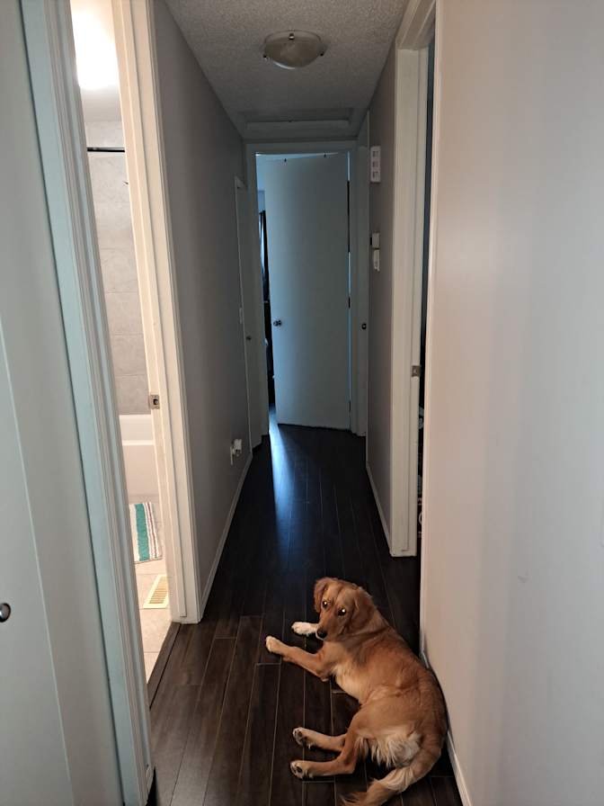 Photo of Jocelyn's room