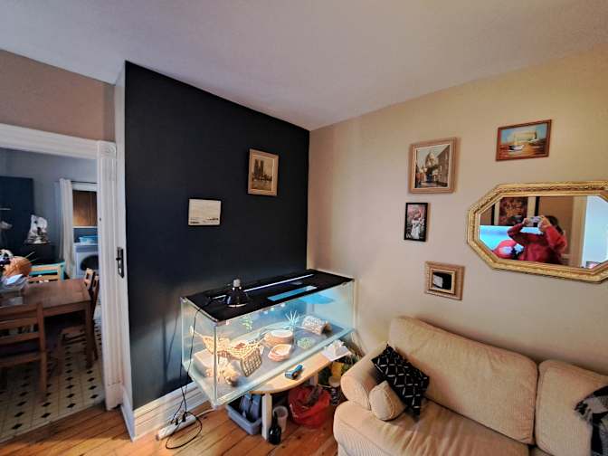 Photo of Terra's room